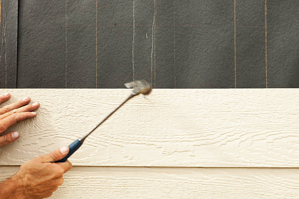 Best Steel Siding Installation  in New Martinsville, WV